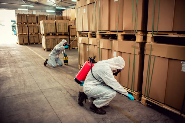 Best Bed Bug Extermination  in Jefferson, TX