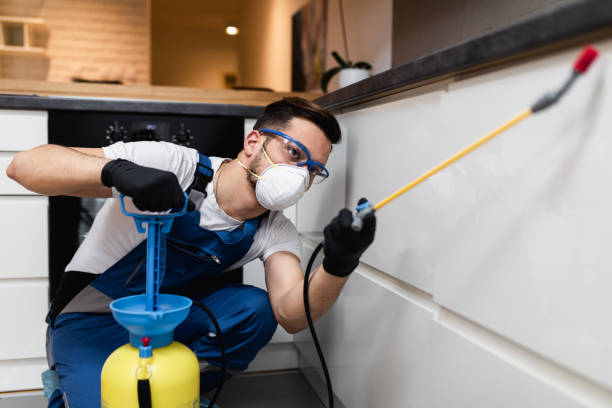 Best Termite Control Services  in Jefferson, TX