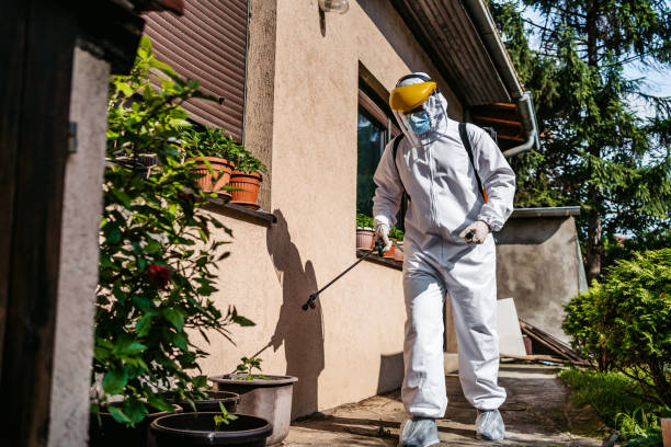 Best Mosquito Control Services  in Jefferson, TX