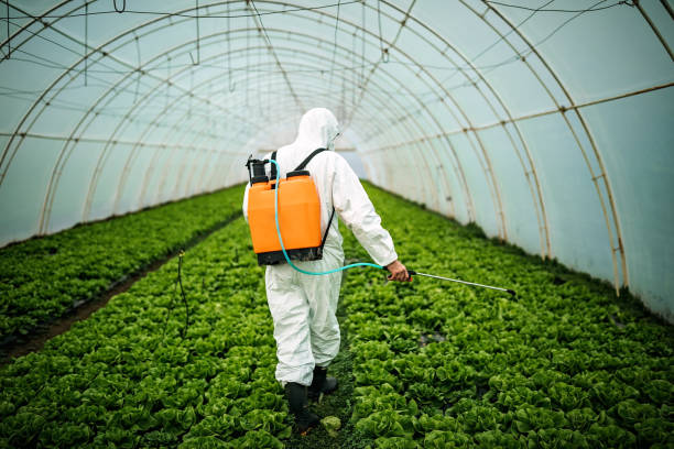 Best Local Pest Control Services  in Jefferson, TX