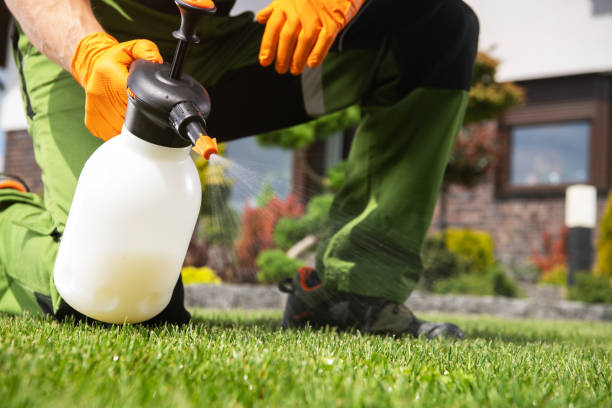 Best Pest Inspection Near Me  in Jefferson, TX