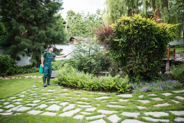 Best Best Pest Control Companies  in Jefferson, TX