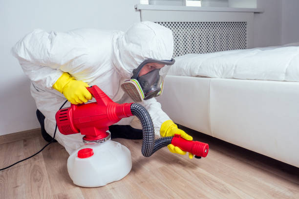 Flea Control Services in Jefferson, TX