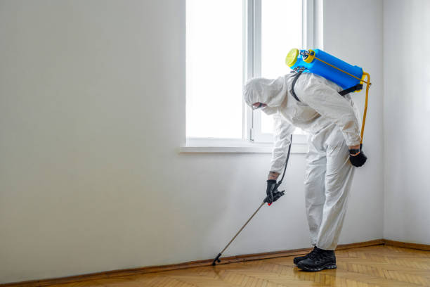 Best Pest Removal Services  in Jefferson, TX