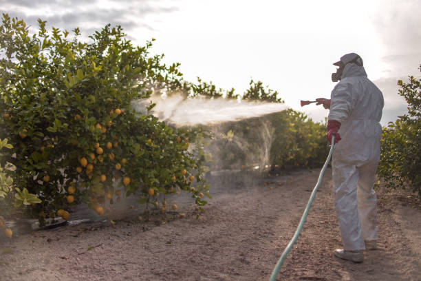 Trusted Jefferson, TX Pest Control Experts
