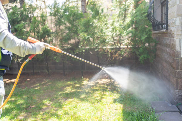 Best Emergency Pest Control  in Jefferson, TX