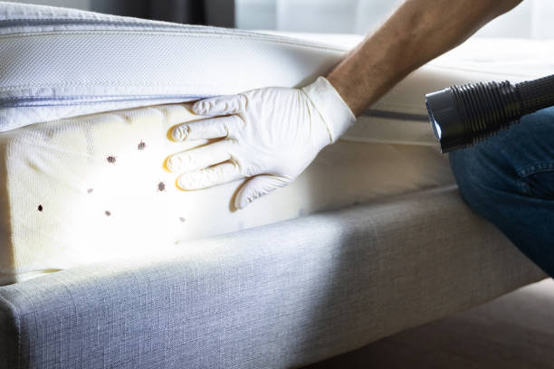 Best Commercial Pest Control Services  in Jefferson, TX