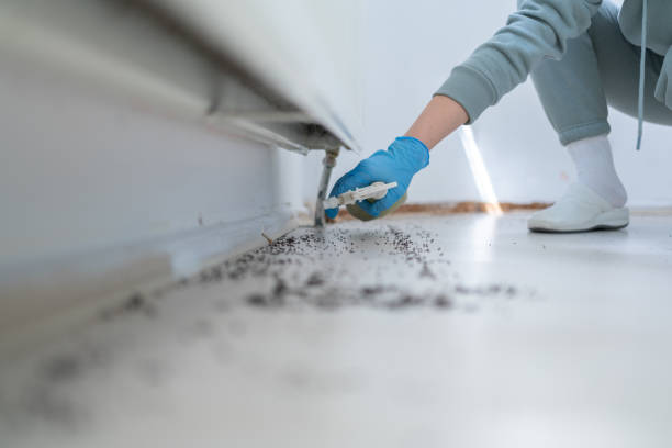 Best Affordable Pest Control Services  in Jefferson, TX